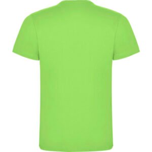 Verde Oásis-Trasera